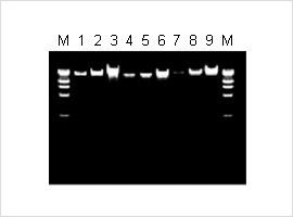 pic_02 (1).png